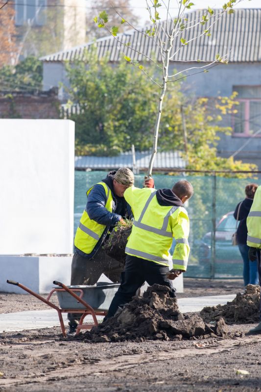 Agapanthus Planting