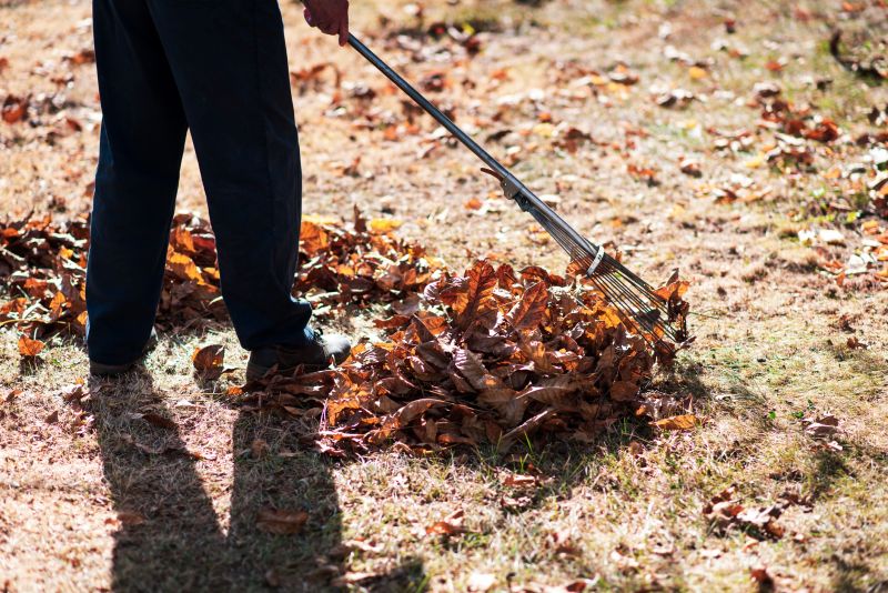 Leaf Raking Technique