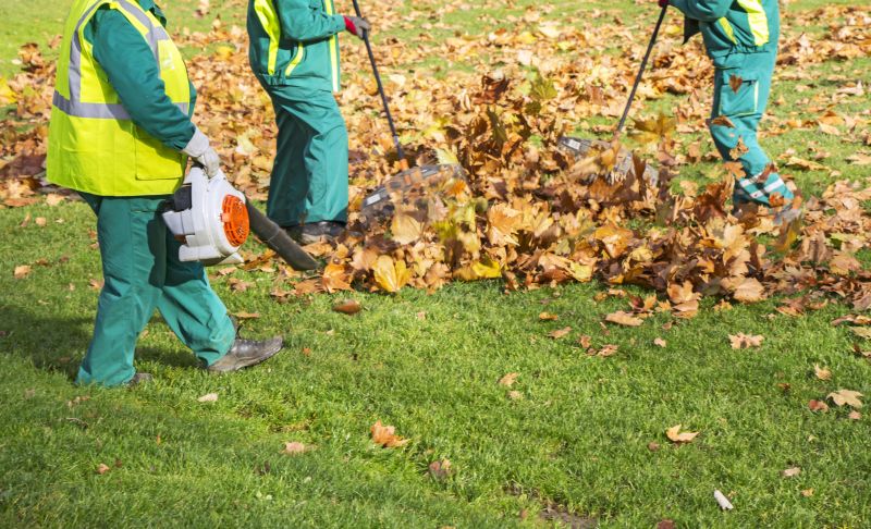 Leaf Blowing Process