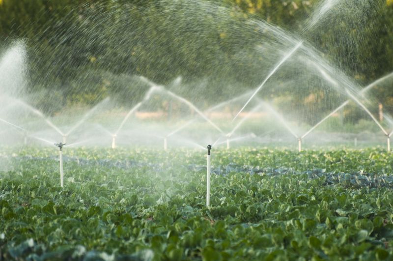 Irrigation System Installers